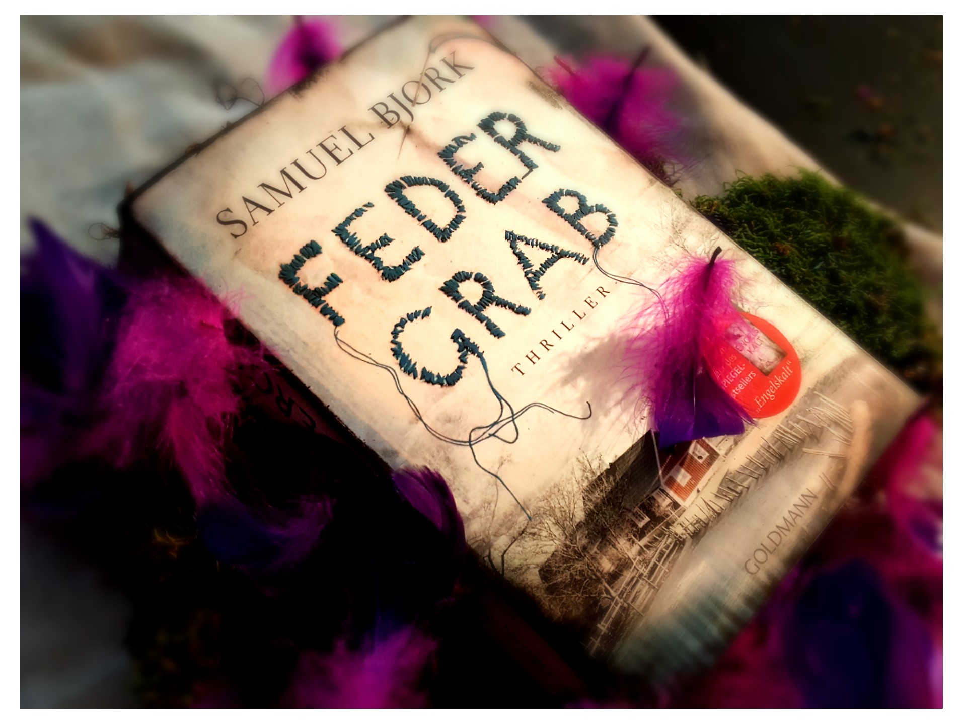 Buch mit Federn auf Moos