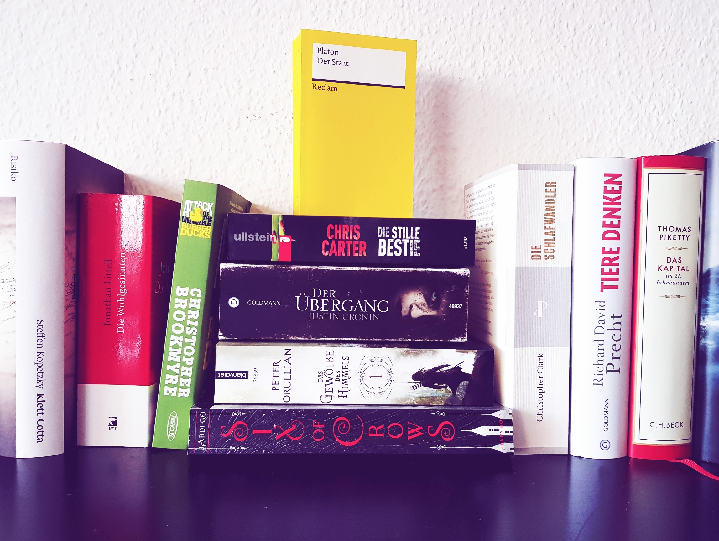 Eine Reihe und ein Stapel Bücher, u.a. Romane, Thriller, Sachbücher